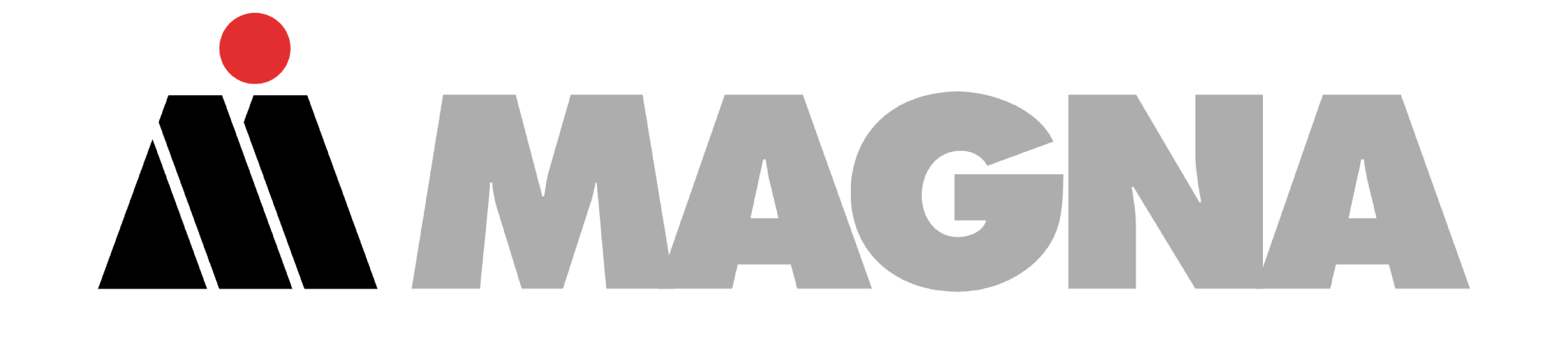 Magna Services of America Inc.